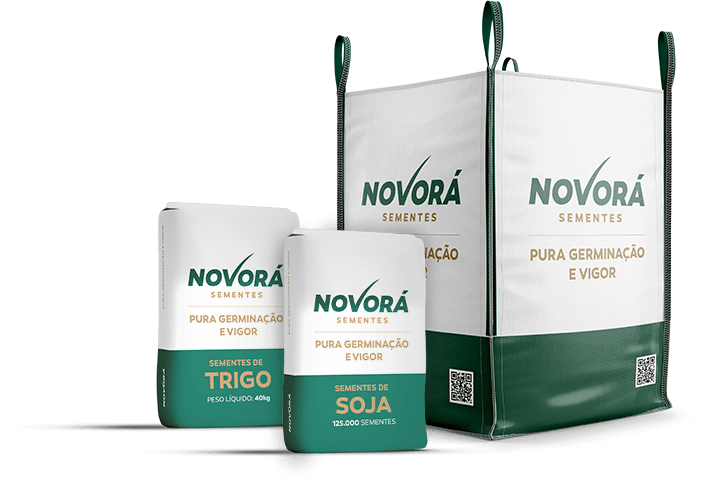Novorá Sementes